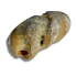 Pão com Chouriço